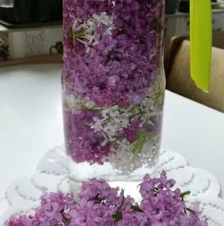 منزل للإقامة Sloneczna Laka *